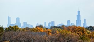 Locations ARC Document Solutions Printing and Document Scanning in Illinois