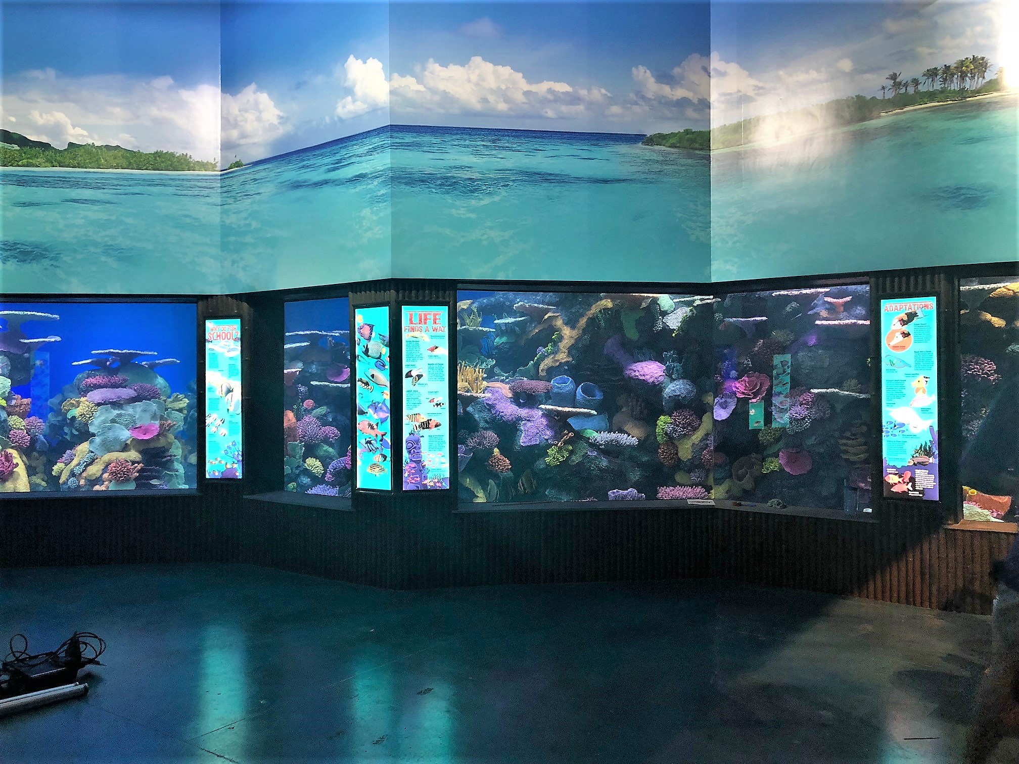 Riot Makes A Colorful Splash At The Oklahoma Aquarium ARC