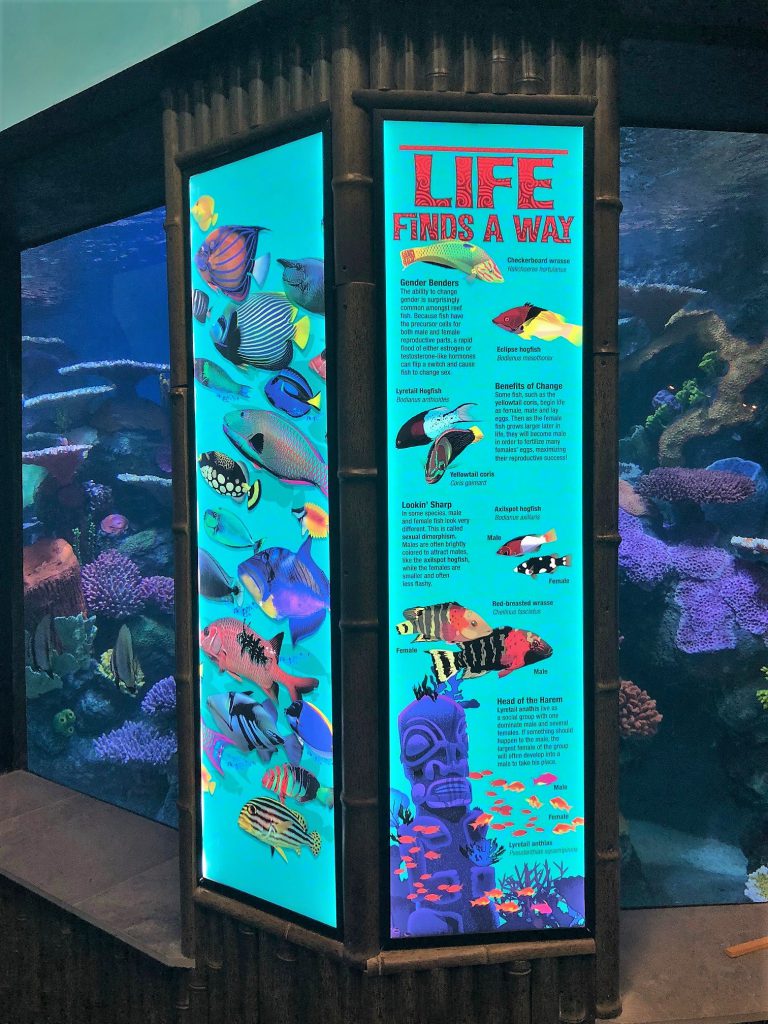 Oklahoma Aquarium