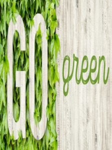 Banner with the inscription go green on a background of boards and green leaves