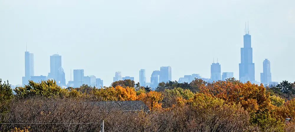 Printing and Document Scanning in Illinois