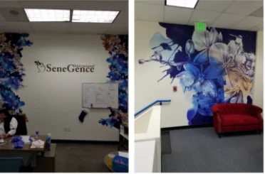 resfreshed office walls with vinyl wall art