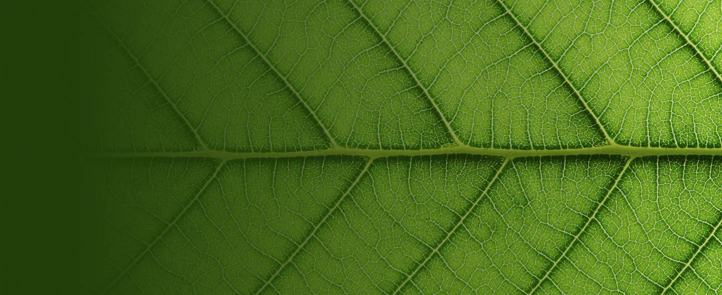Construction Site Barricading